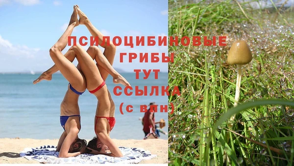 spice Нефтекумск