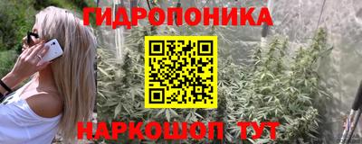 молекула духа Заволжье