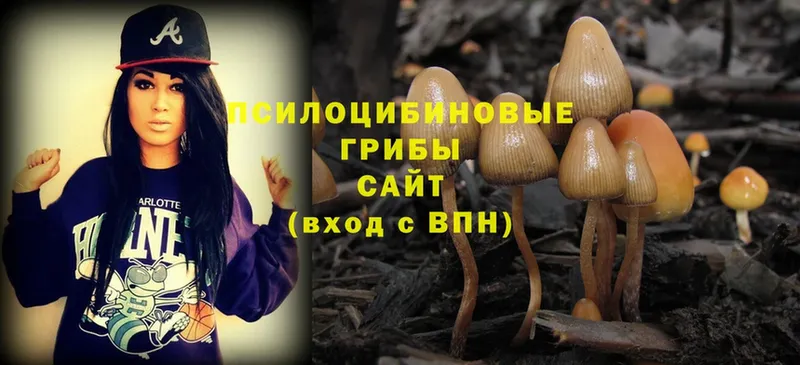 Галлюциногенные грибы Magic Shrooms  Кстово 