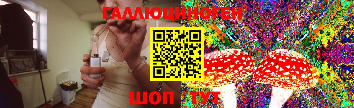 наркотики  Кстово  Псилоцибиновые грибы прущие грибы 