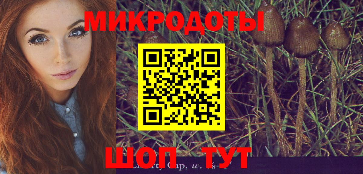 Кстово  Галлюциногенные грибы Psilocybe  Вход с VPN 