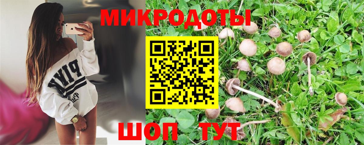 Псилоцибиновые грибы MAGIC MUSHROOMS Кстово