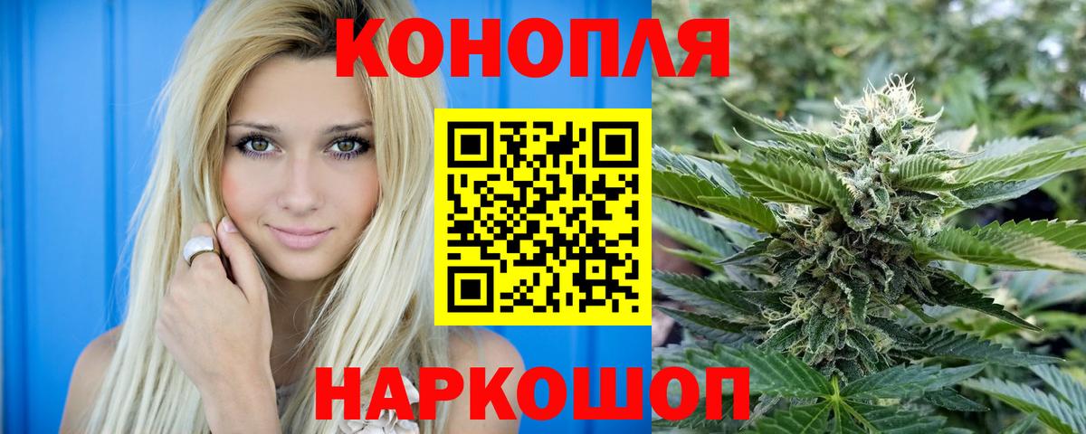 Канабис OG Kush Кстово